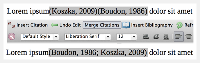 separate 2 footnote references in word for mac